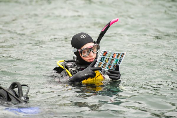 jr scientific diver program