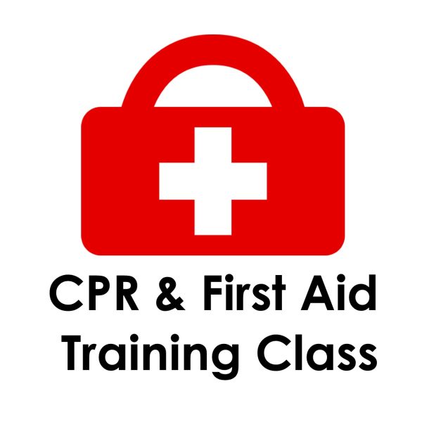 First Aid CPR DAN BLS Class Logo